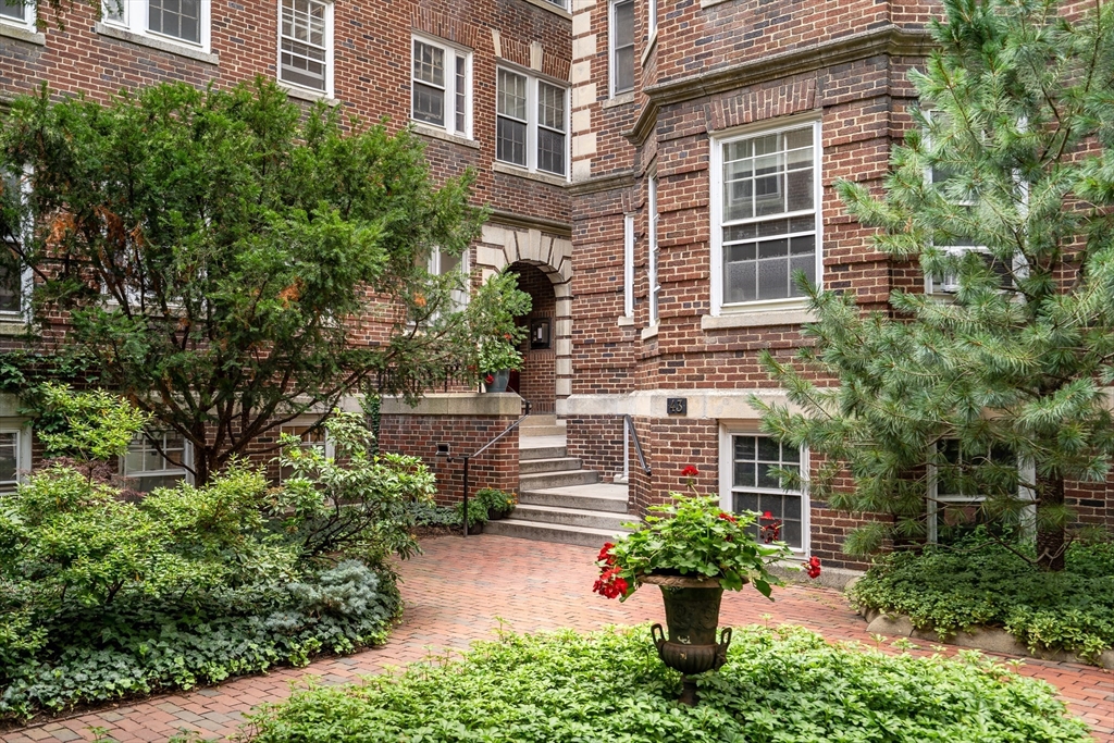 43 Linnaean #24 in Cambridge