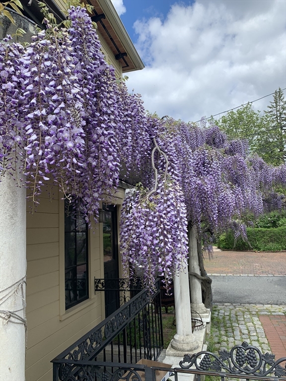 127 Cushing st in Cambridge