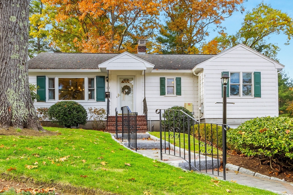 103 Marked Tree in Needham